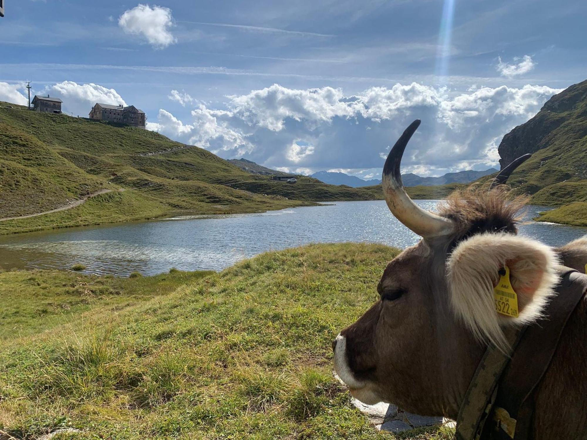 Haus Richard Falch Leilighet St. Anton am Arlberg Eksteriør bilde